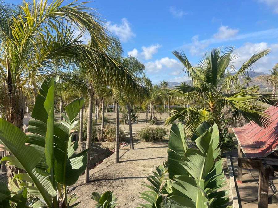 Proyecto con gran potencial a pocos minutos de la playa de Caleta de Vélez