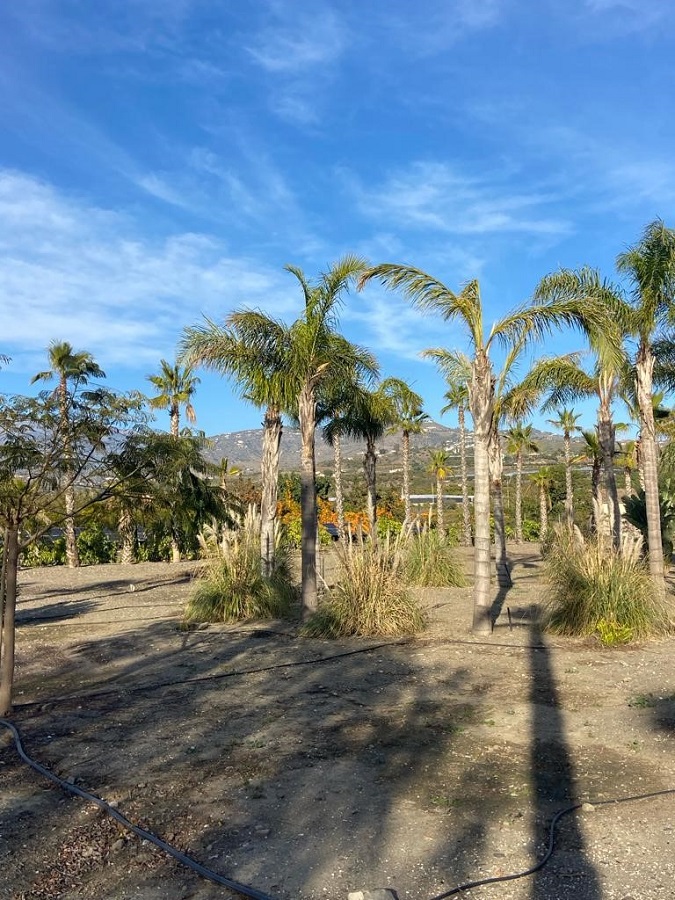 Proyecto con gran potencial a pocos minutos de la playa de Caleta de Vélez