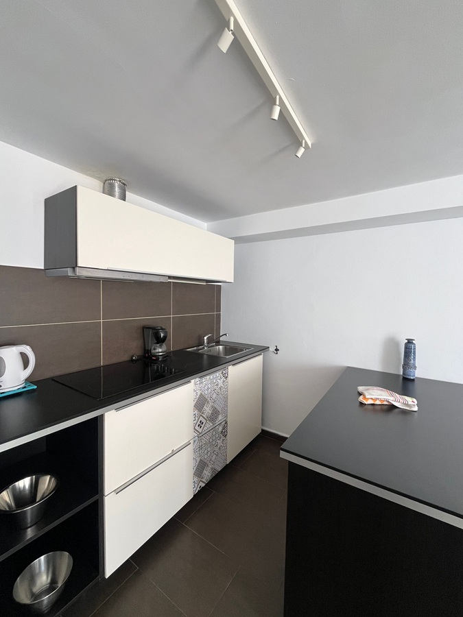 Gerenoveerde woning met dakterras, panoramisch zicht over de zee en bergen en apart appartement onder de woning